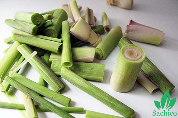 Cách làm tinh dầu sả đơn giản tại nhà
