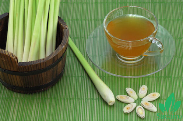 Cách làm tinh dầu sả đơn giản tại nhà
