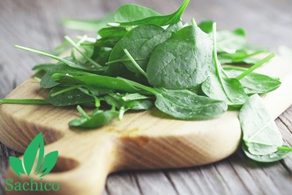 ăn rau mồng tơi có tác dụng gì