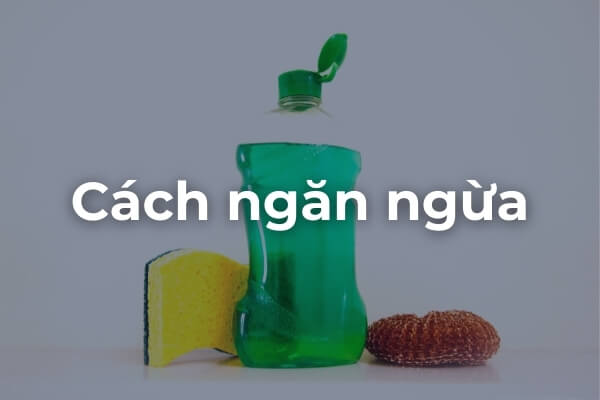 Cách ngăn bọ ăn lá 