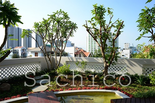 cây trồng sân thượng chịu nắng tốt