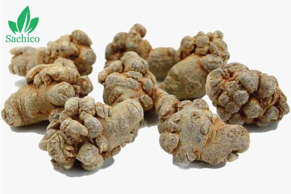 Danh mục các cây dược liệu