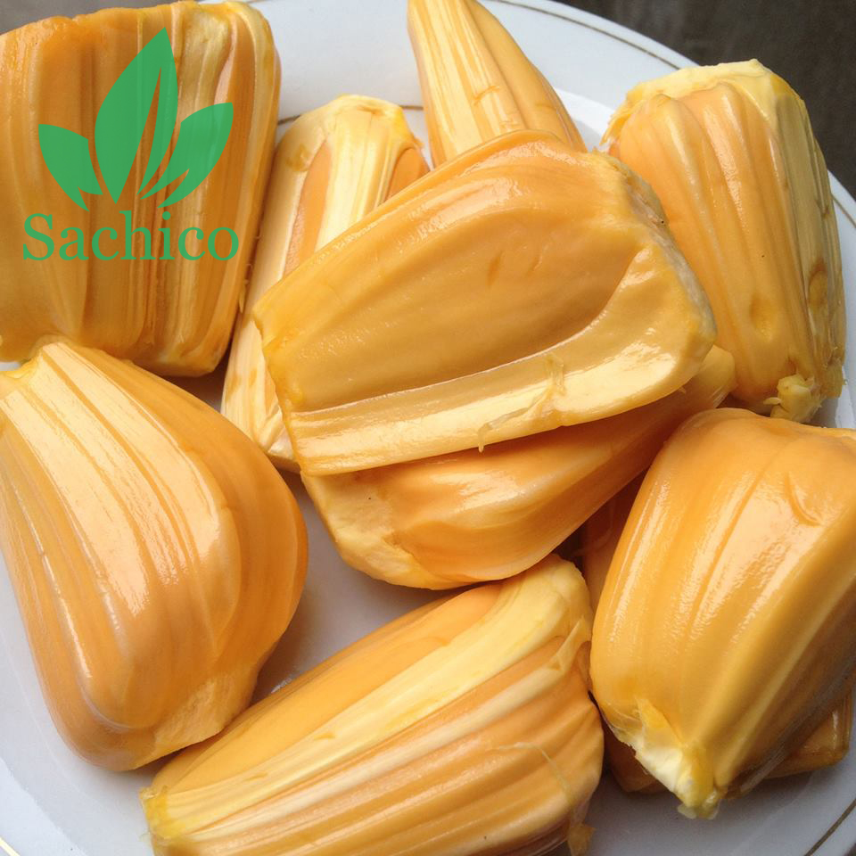 giống mít ngon nhất
