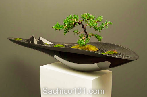 Những mẫu bonsai mini đẹp