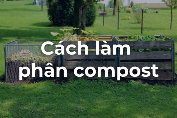 Cách làm phân compost