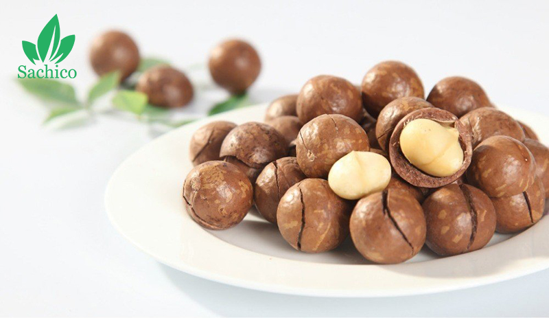 Quả macca có tác dụng gì