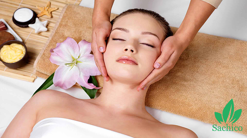 Quả macca có tác dụng gì