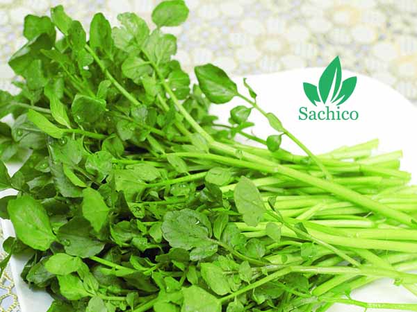 Tên các loại rau cải