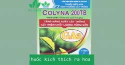 Các loại Thuốc Kích Thích ra Hoa hiệu quả năm 2021 