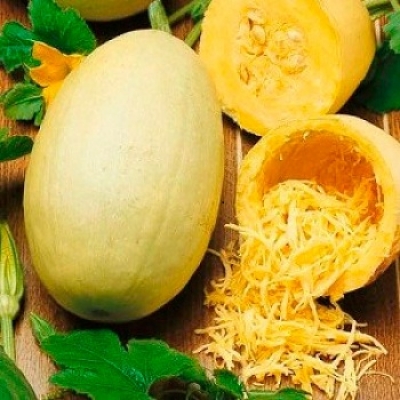 Hạt giống bí ngô mì sợi