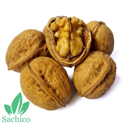 Quả óc chó dinh dưỡng