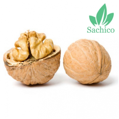 quả óc chó 