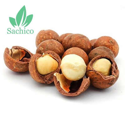 Hạt quả mắc ca dinh dưỡng