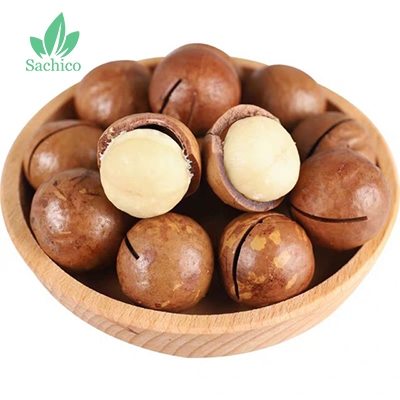 quả macca dinh dưỡng