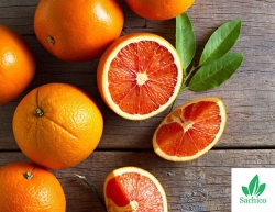 6 Giống Cây Ăn Quả Mới Năng Suất Cao!