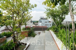 Top 7 loài cây trồng sân thượng chịu nắng tốt Mùa Hè