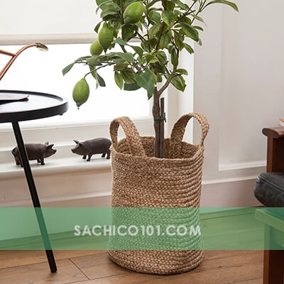 giỏ cây đay dệt thủ công