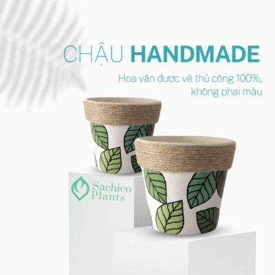 chậu đất nung quấn dây đay