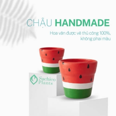 Chậu đất nung Dưa Hấu