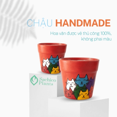 Chậu đất nung Toàn Mèo