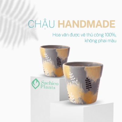 Chậu đất nung Hỗn Mang