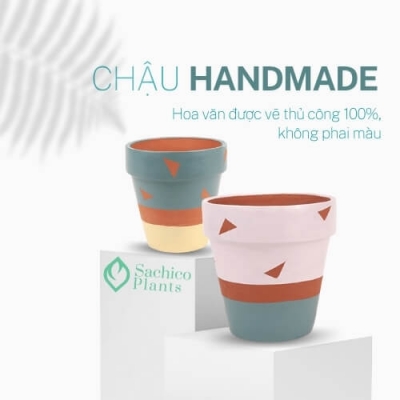 Chậu đất nung tô màu