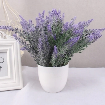 Chậu hoa lavender