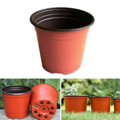 Chậu nhựa trồng cây cảnh