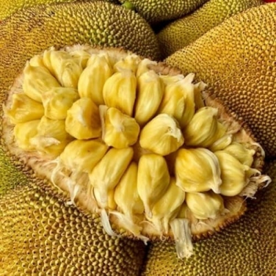 Quả mít mật chín