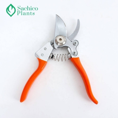 Kéo cắt tỉa cành KC3