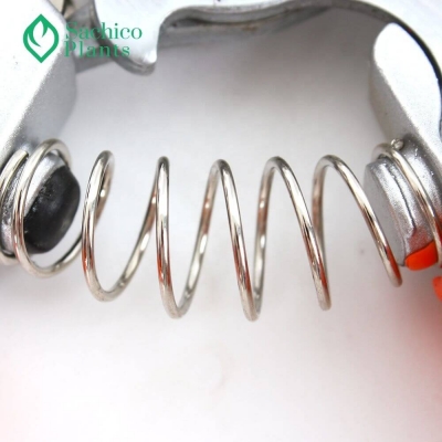 Kéo cắt tỉa cành KC3
