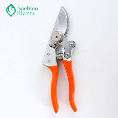 Kéo cắt tỉa cành KC3